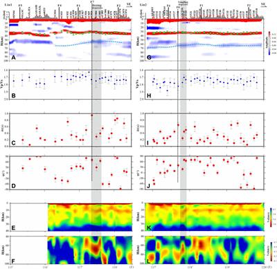 Crustal Structure and Anisotropy in the Lower Yangtze Region and its Metallogenic Implications